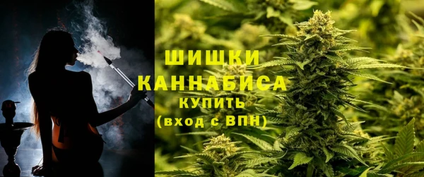 амф Осинники