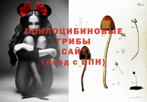амф Осинники