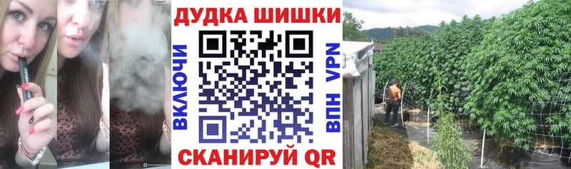 где купить   Торопец  Шишки марихуана Amnesia 